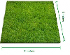 Tapete de grama sintética 2,00 x 2,00 Locação SP, Imagem Thumbnail 1