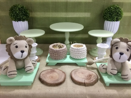 Kit Festa Leão Floresta Chá de Bebê Locação SP