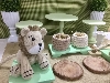 Kit Festa Leão Floresta Chá de Bebê Locação SP, Imagem Thumbnail 2